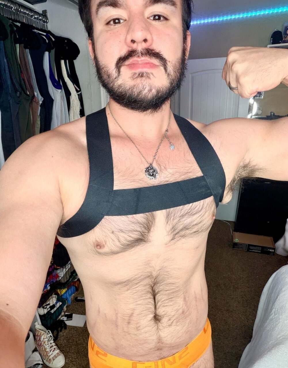 Code 22 Basic Harness Art 8017 Black